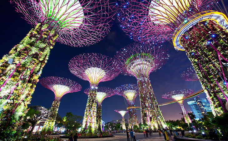 Supertree Grove at Gardens By The Bay